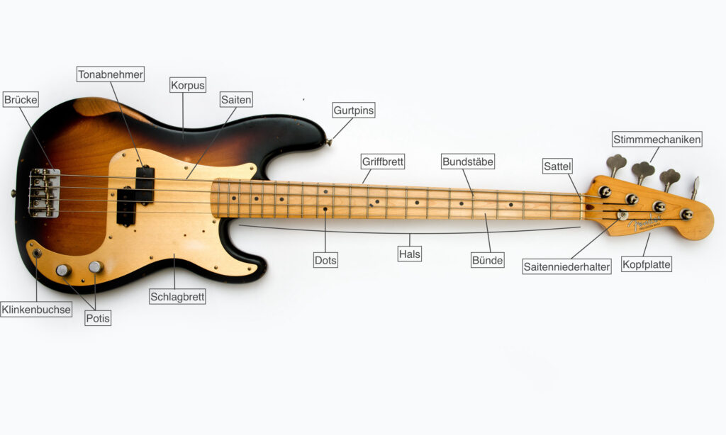 <p><span><span>Die </span></span><strong>Saite</strong><span><span> ist einer der dicken Drähte, die du mit den Fingern anschlägst oder zupfst.</span></span><br><span><span>Ein normaler E-Bass hat </span></span><strong>4 Saiten</strong><span><span>:</span></span><br><strong>E – A – D – G</strong><span><span> (von oben nach unten). (Eine alte Dame geht) Merksatz</span></span></p>