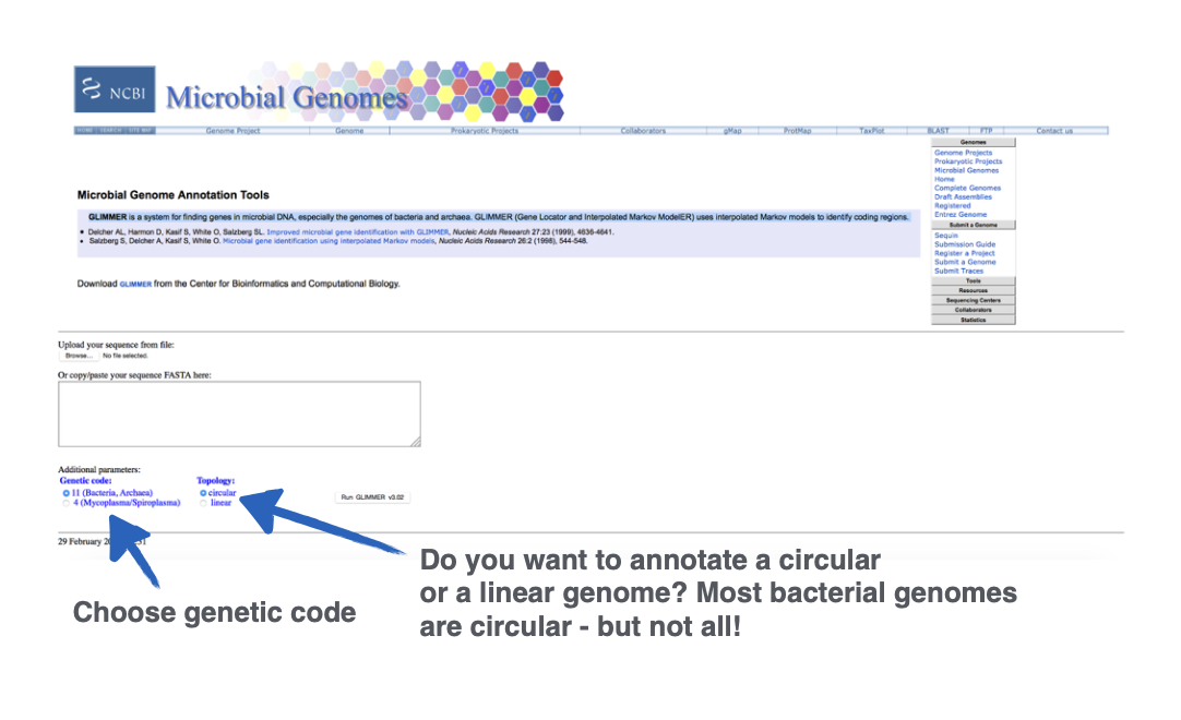 <p>What site is this?</p>