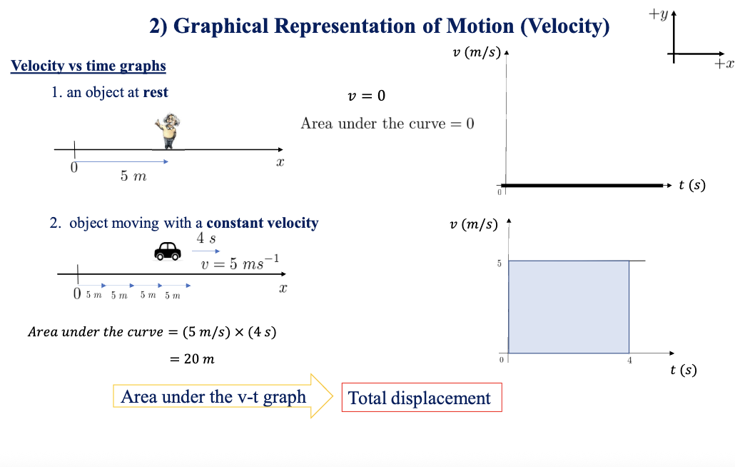 <p>What does a velocity vs. time (v vs t)(v \text{ vs } t)(v vs t) graph show?</p>