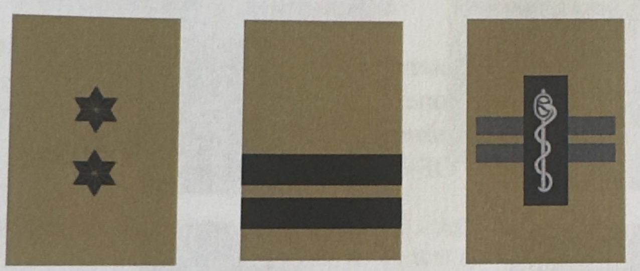 <p>Officiers subalternes 2/11</p>