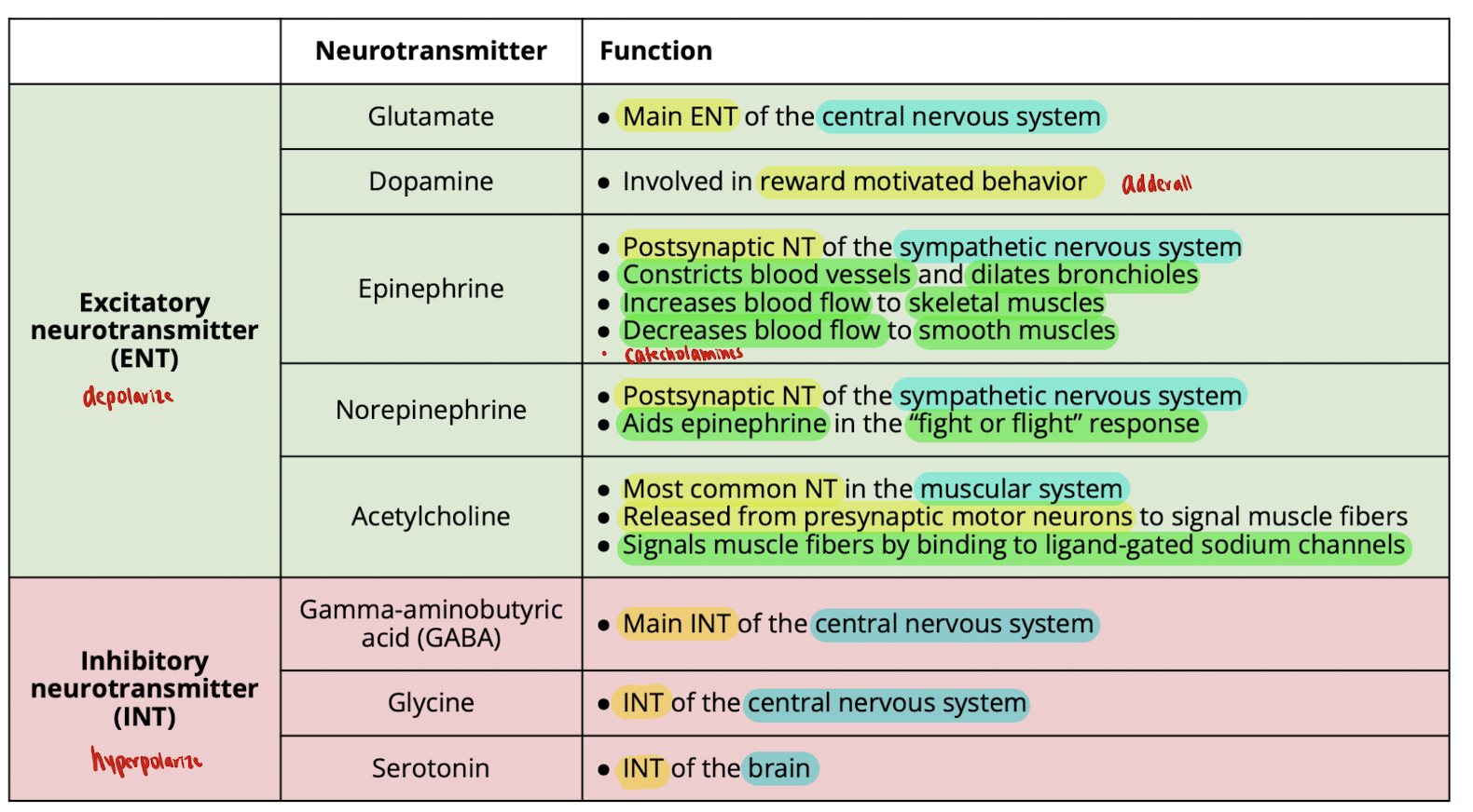 knowt flashcard image