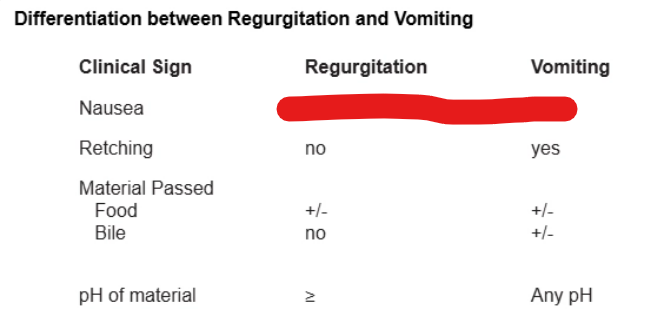 <p>yes or no to both (Megaesophagus)</p>