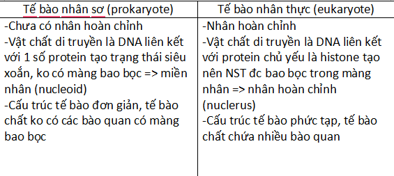 <p>-Dựa vào mức độ hoàn thiện của tế bào mà chia thành 2 nhom tế bào</p>