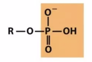 <p>Which functional group is this?</p>