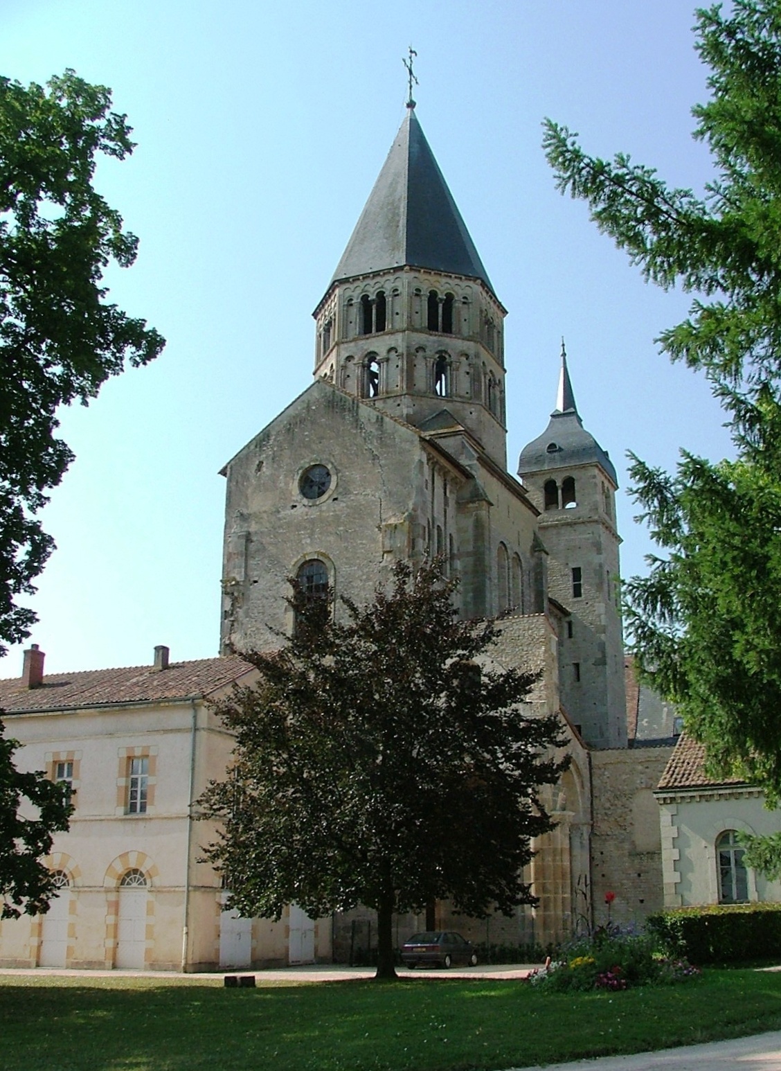 term image