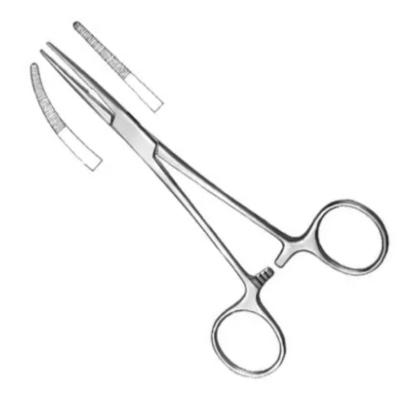 <p>Kelly ForcepS</p>