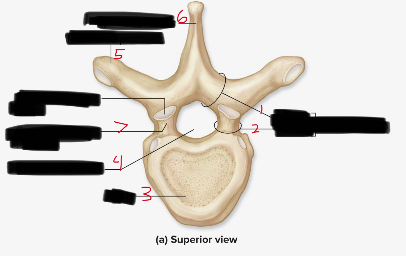 <p>3</p>