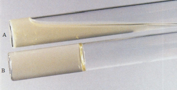 <p>Interpret the result of the <strong>Gelatin Hydrolysis Test</strong></p>
