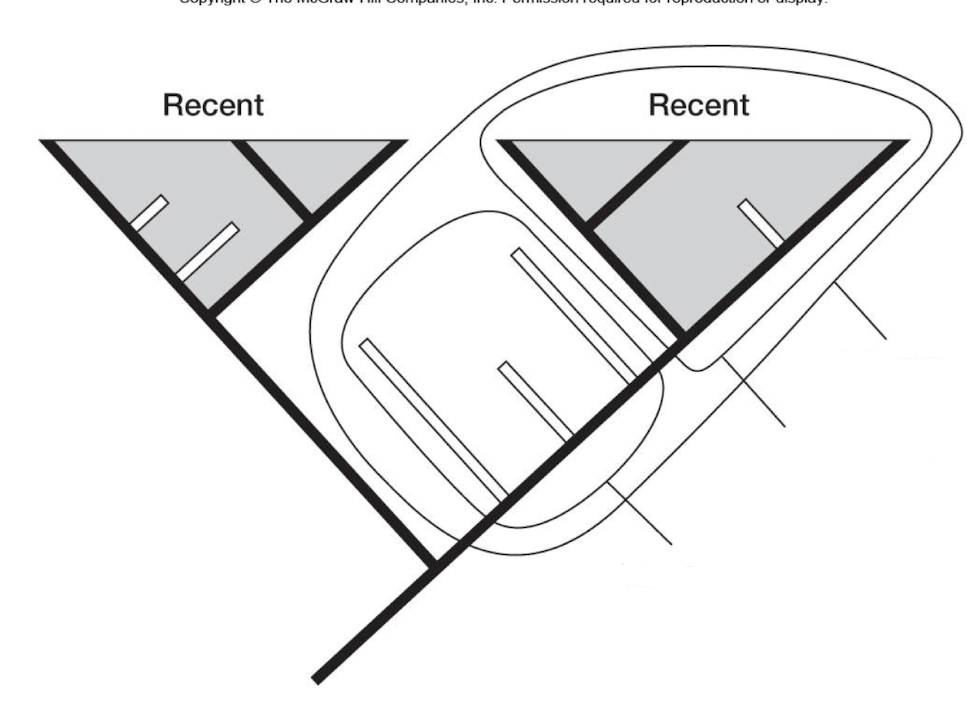 <p>Label the image </p>