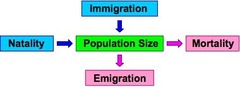 <p>4 factors that affect the size of a population</p>