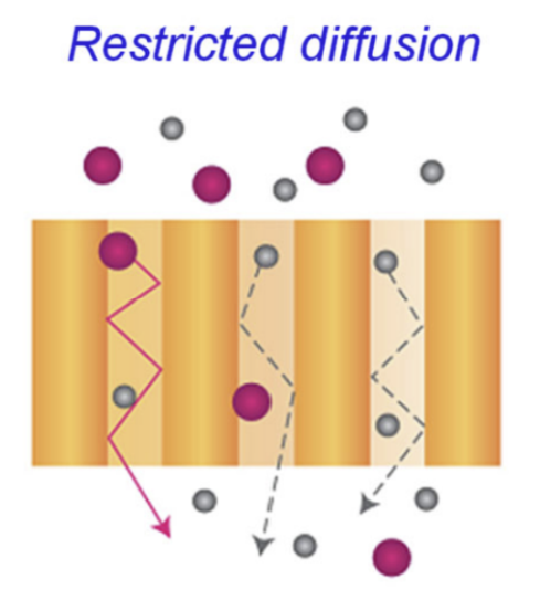 <p><span style="background-color: transparent;">decrease in a particle's movement due to limited space or confined geometry, slowing down diffusion without changing the particle's size</span></p>