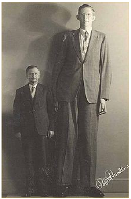 <ul><li><p>excessive hGH production during childhood can lead to a condition called <strong>gigantism </strong></p><ul><li><p>extremely rare disorder</p></li><li><p>famous case: Robert Wadlow weighed 490 pounds and was 8’11 at 22 years old</p></li></ul></li></ul><p></p>