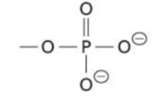 <p>A functional group consisting of a central phosphorus bonded to 4 oxygens (PO<sub>4</sub><sup>2-</sup>)</p>