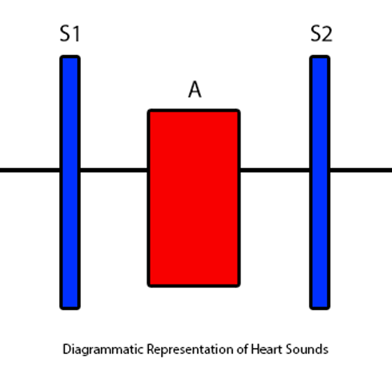 <p>3,1</p><p>1. S1 represents closure of the mitral and tricuspid valves, while S2 represents closure of the aortic and pulmonary valves. These are the only two heart sounds that should occur normally. Sounds occurring between S1 and S2 are considered systolic murmurs.</p><p>2. S1 represents closure of the mitral and tricuspid valves, while S2 represents closure of the aortic and pulmonary valves. These are the only two heart sounds that should occur normally.</p><p>3. Sounds occurring between S2 and S1 are known as diastolic murmurs. The illustration does not show the sound occurring between S2 and S1.</p><p>4. S1 represents closure of the mitral and tricuspid valves, while S2 represents closure of the aortic and pulmonary valves. These are the only two heart sounds that should occur normally.</p>