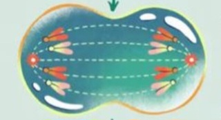 <p>What type of process does the image show?</p>