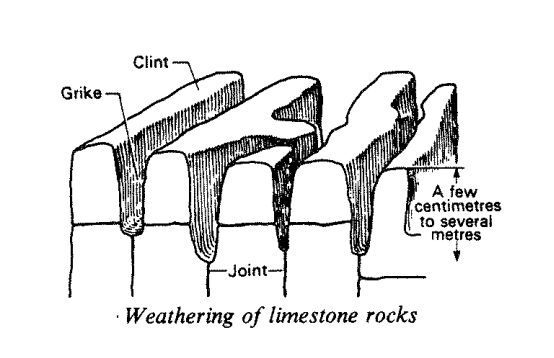 <p>clint: flat topped ridge in limestone after carbonation</p><p>grike: deep + narrow groove in limestone caused by carbonation</p><p>joint: crack in the rock where the rain enters (dif. from faults bc joints are stationary wheras faults always move)</p>