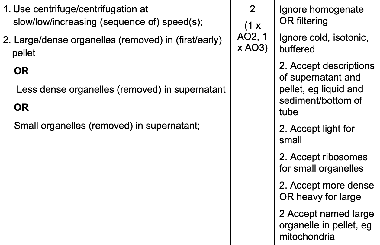 <ul><li><p>filtrate <strong>centrifuged</strong> at a low speed → <strong>dense</strong> organelles (nuclei) form pellet at bottom of tube, <strong>less dense</strong> organelles remain suspended in supernatant</p></li><li><p>supernatant transferred to new tube and centrifuged at a higher speed → next heaviest organelles (chloroplasts/mitochondria) <strong>settle out</strong></p></li><li><p>transfer supernatant into new tube and repeat entire process, increasing speed each time until all organelles have been separated into distinct layers</p></li></ul><p></p>