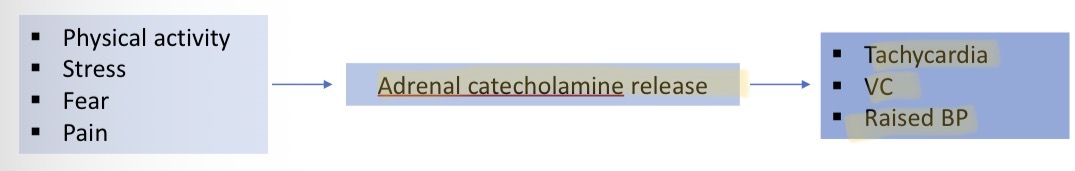 <p>Severe chest pain caused by ischemic to heart </p><p>Caused by physical activity/stress/fear/pain— adrenal catecholamine release— causes tachycardia, VC, raised BP</p>