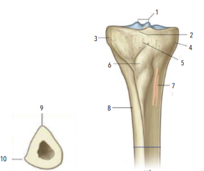 <p>6?</p>