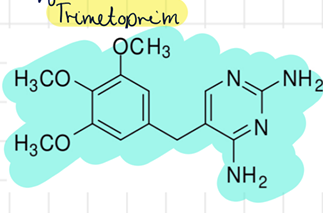 trimetoprim