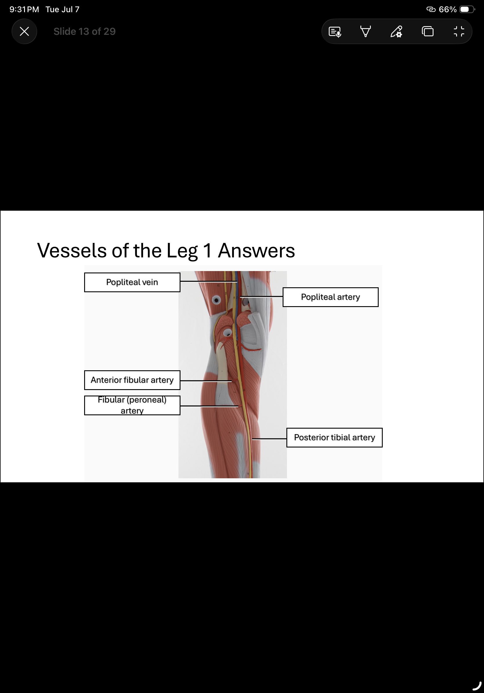 knowt flashcard image