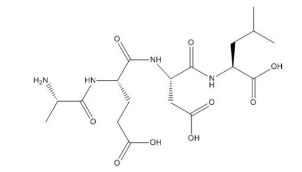 <p>The following peptide is shown in a “folded” conformation and in an unusual protonation state. Name the peptide the same three ways as above and determine the absolute configurations of the chiral centers. Also, consider the three adjacent carboxyl side chains. If the one closest to the N-terminus has a pKa of 3.9, and if the C-terminal one has a pKa of 3.3, what would you predict for the pKa of the middle one? Would it be higher or lower than the pKas of the above-noted groups?</p>