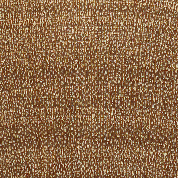 <p>Birch (Yellow Birch)</p>