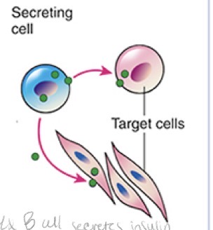<p>Cell Signaling</p>