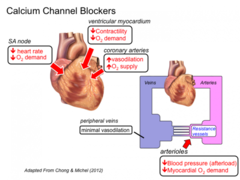 <p>work primarily in the heart:</p><p>decrease heart rate</p><p>decrease contractility</p><p>slow SA node conduction</p><p>slow propagation of depol</p><p>negative inotropes, negative chronotropes</p>