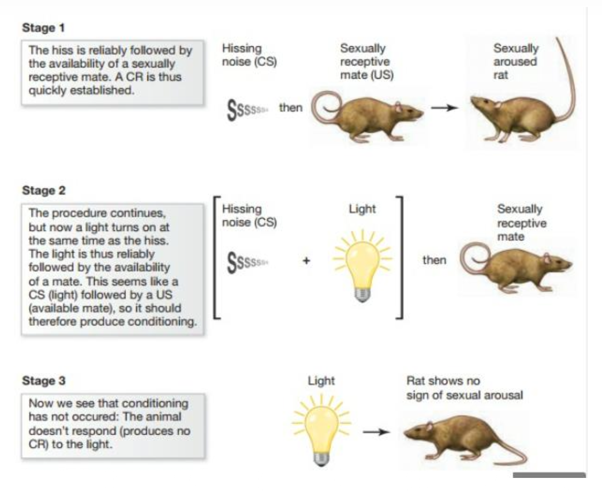 <ol><li><p>a phenomenon in classical conditioning where the presence of an established conditioned stimulus (CS1) can block the acquisition of a new conditioned response when a second conditioned stimulus (CS2) is paired with the US</p></li><li><p>if the organism has already learned to associate a particular stimulus (CS1) with an outcome it may not readily learn to associate a new stimulus with the same outcome even if the CS2 is presented alongside the CS1 during conditioning trials </p></li></ol><p></p>