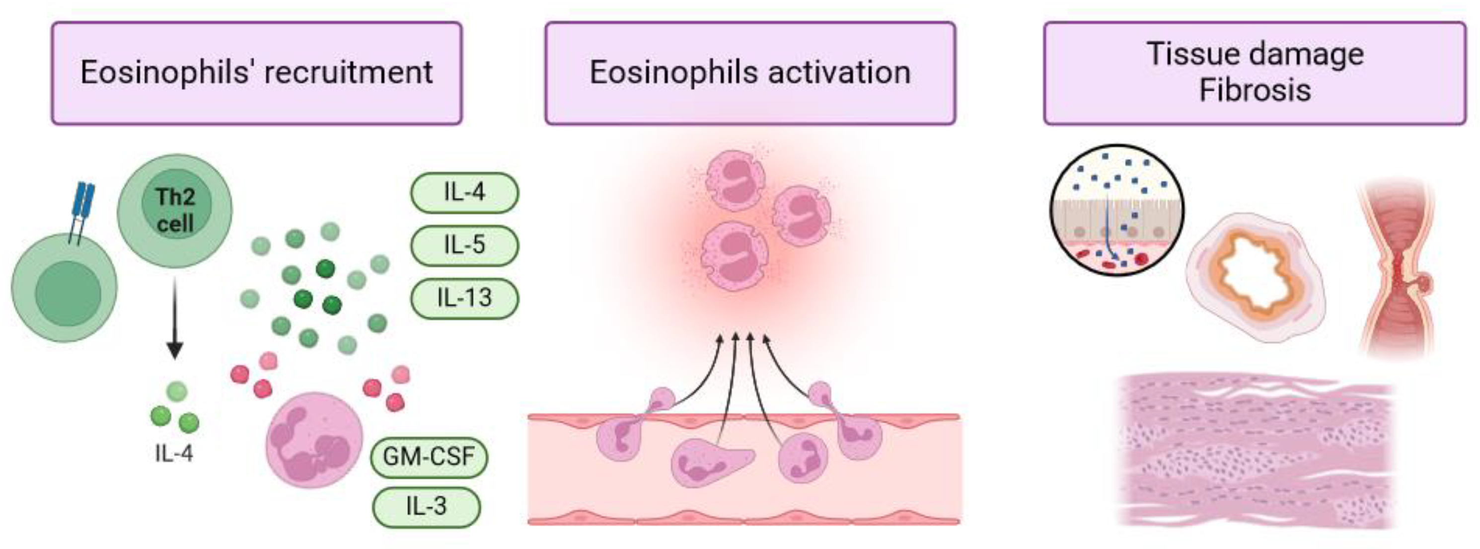 <p>eosinophilic colitis</p>