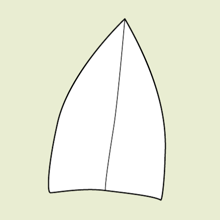 <ul><li><p>leaf tip tapers sharp, pointed end where the two sides meet at an angle of less than 90 degrees</p></li></ul><p></p>