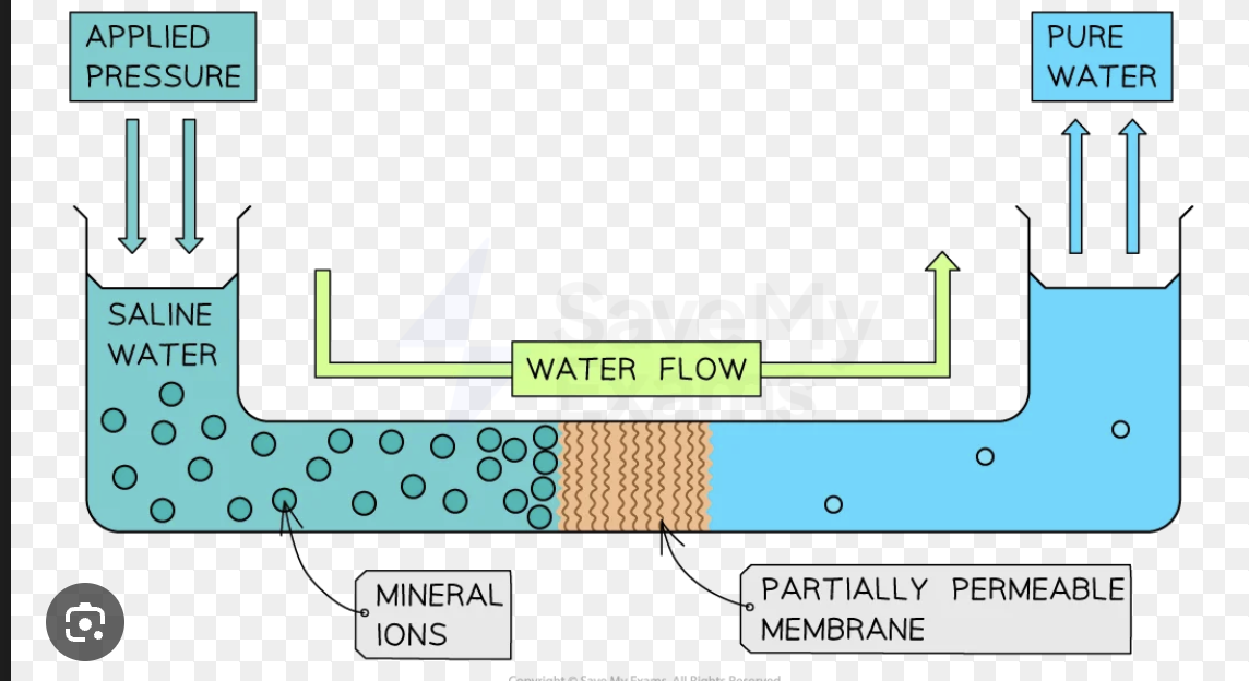 <p>partially permeable membrane allows water through but not ions</p>