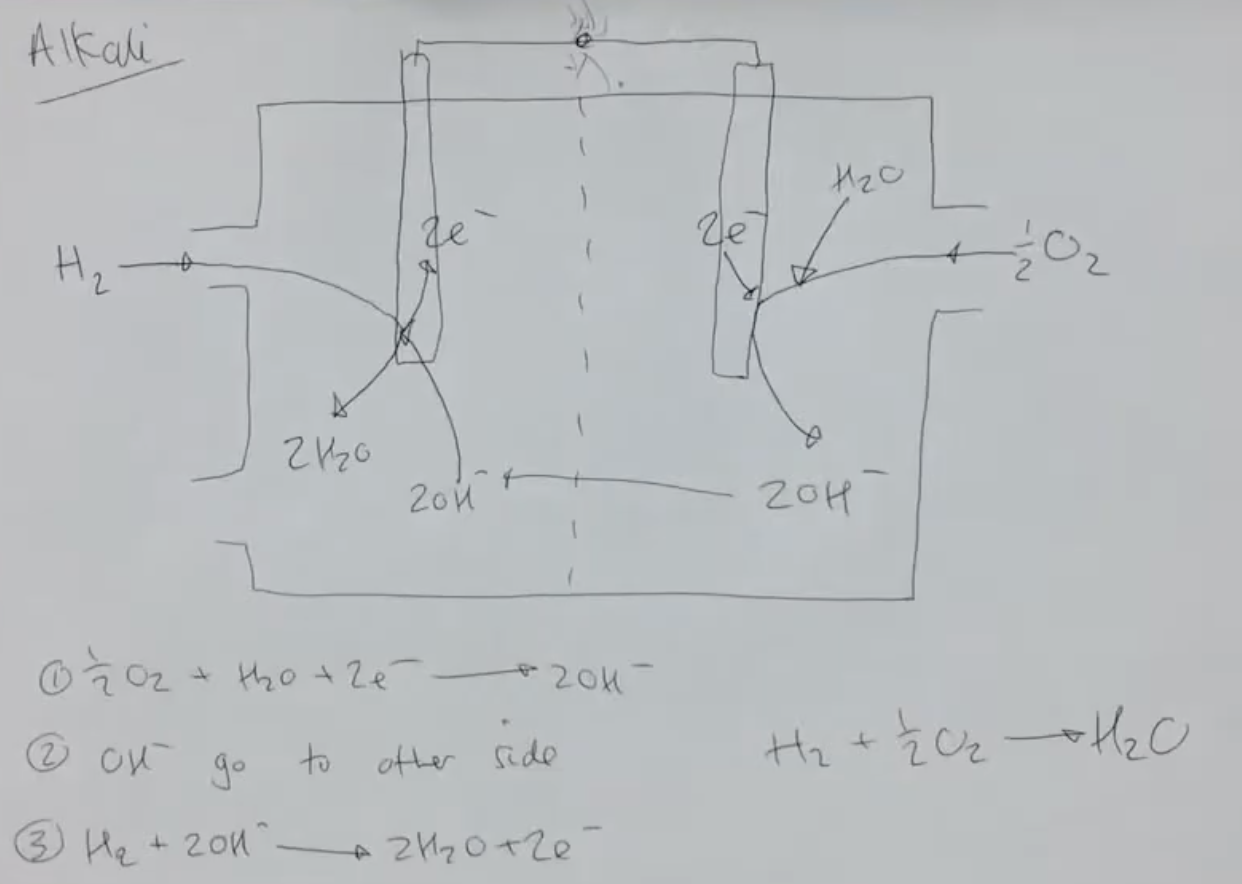 <ul><li><p>at the +ve electrode, ½ O<sub>2</sub> reacts w/ H<sub>2</sub>O to produce 2OH<sup>-</sup> and 2e<sup>-</sup> - O<sub>2</sub> is reduced</p></li></ul><ul><li><p>OH<sup>-</sup> diffuse across membrane</p></li><li><p>at the -ve electrode, H<sub>2</sub> enters and reacts w/ OH<sup>-</sup> to produce 2H<sub>2</sub>O </p></li><li><p>e<sup>-</sup> travel along circuit to +ve electrode - process repeats as long as there is a constant supply of fuel </p></li></ul><p></p><p></p>