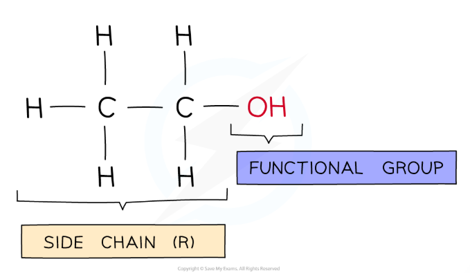 <p>The hydroxyl (<strong>-OH</strong>) functional group</p>