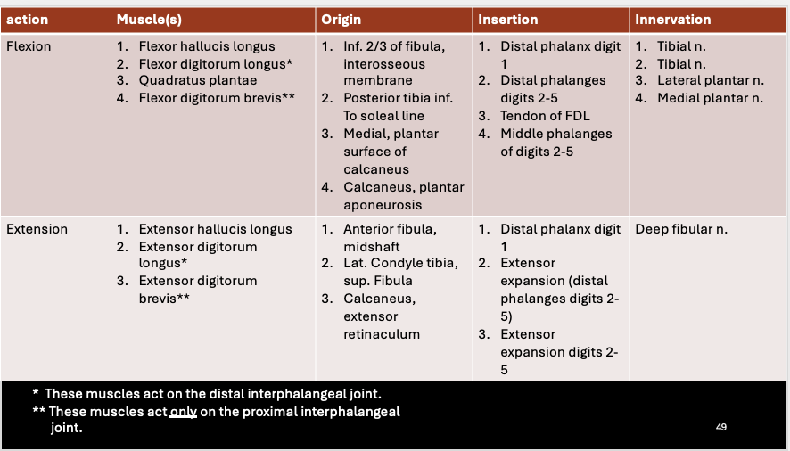 knowt flashcard image