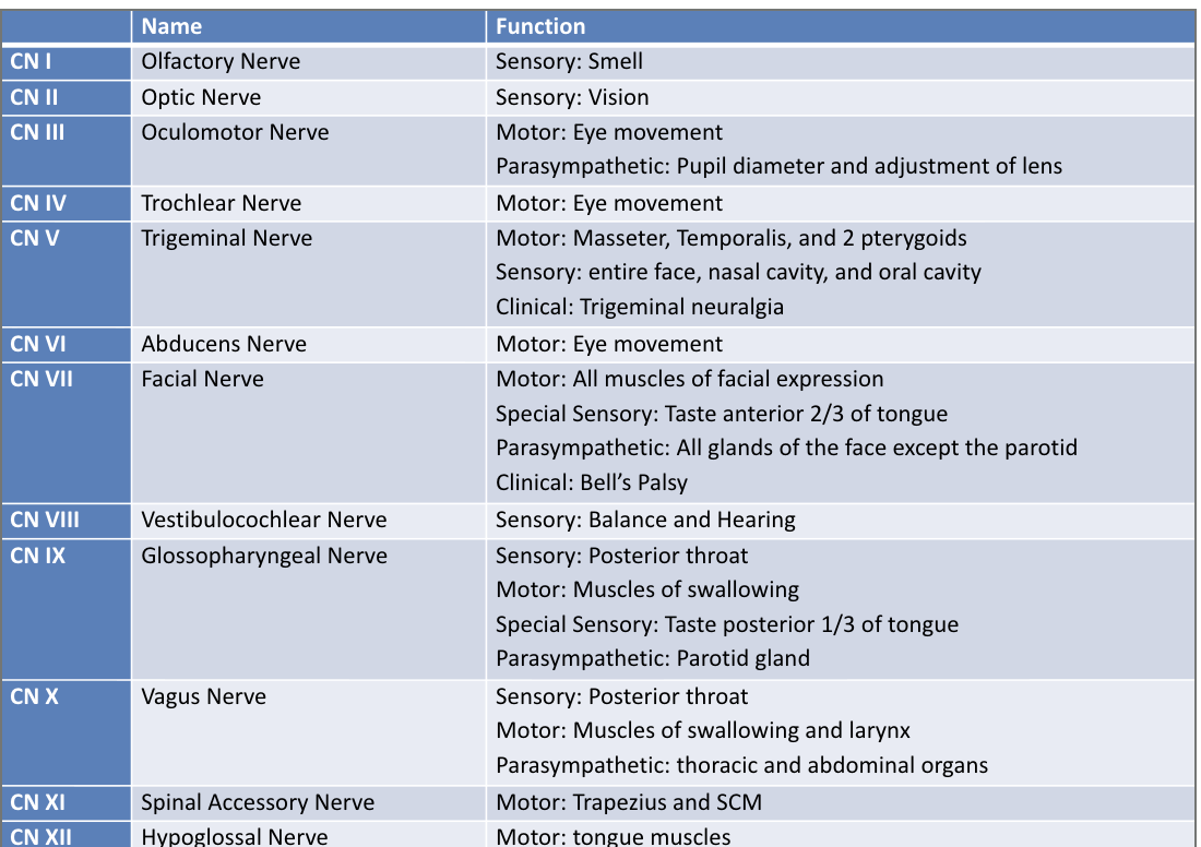 knowt flashcard image