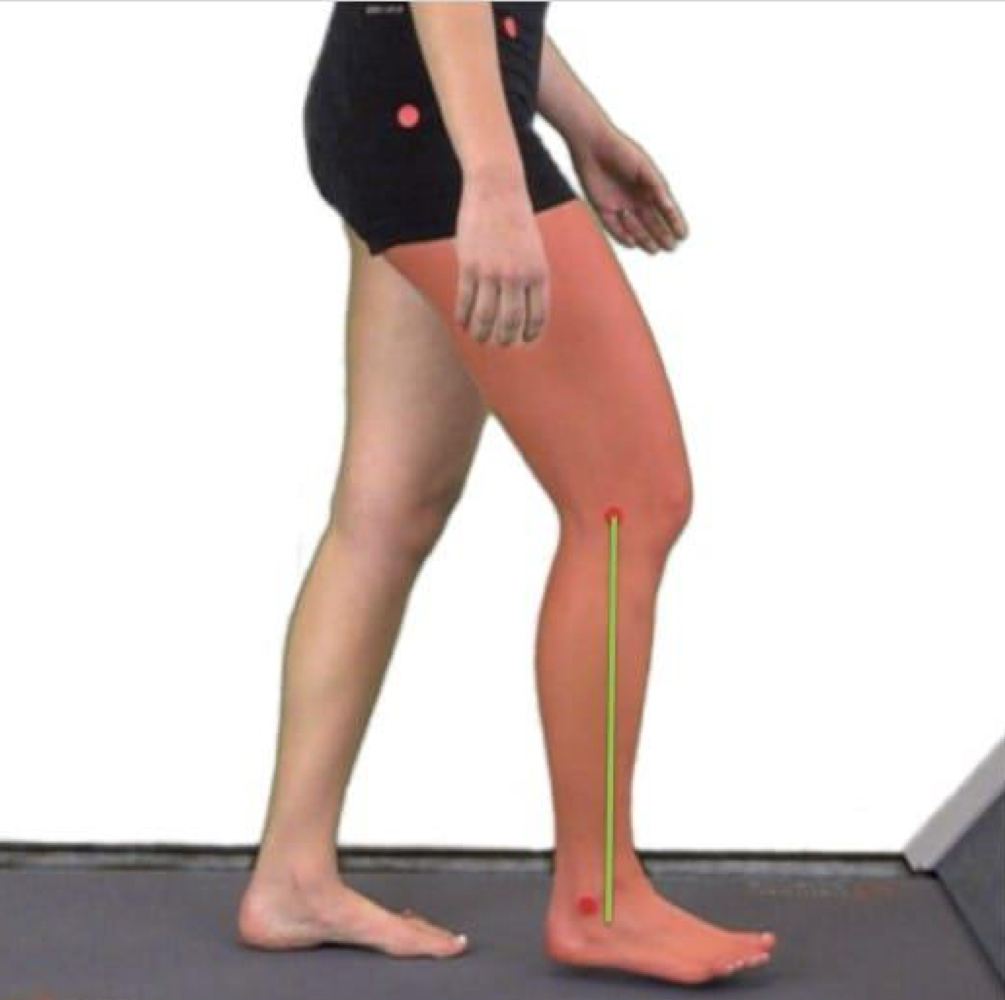 <p>begins when the medial malleoli are aligned and ends when the ipsilateral tibia is perpendicular to the ground</p>