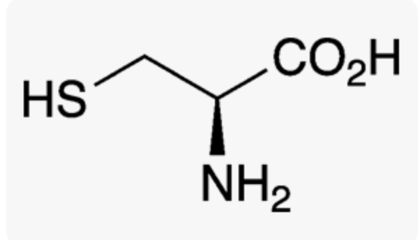 <p>(AA)</p>