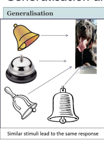 <p>Similar stimuli lead to the SAME response </p>