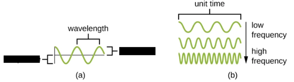 <p><span style="background-color: transparent;">The height of each peak or depth of each trough</span></p>