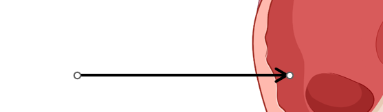 <p>What is this part of the heart?</p>