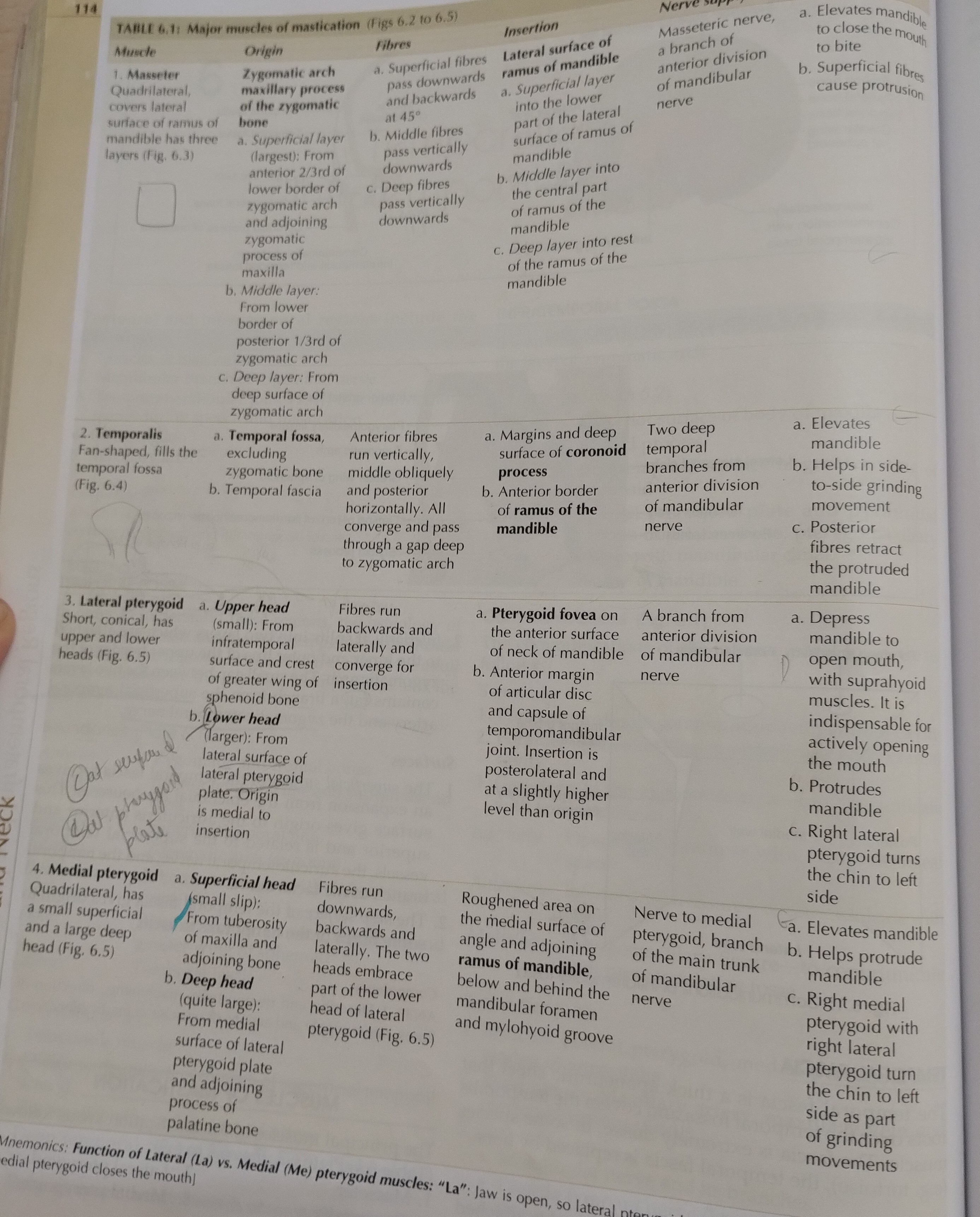 knowt flashcard image