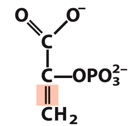 <p>What is this structure?</p>