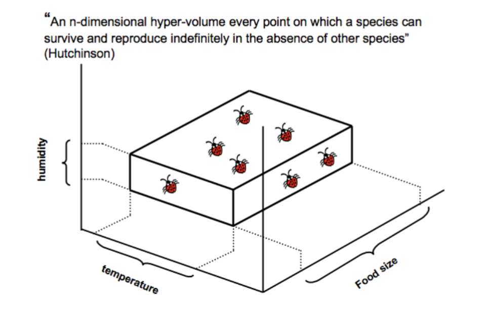 <p>The set of conditions allowing the species to survive if there are no other species interfering</p>
