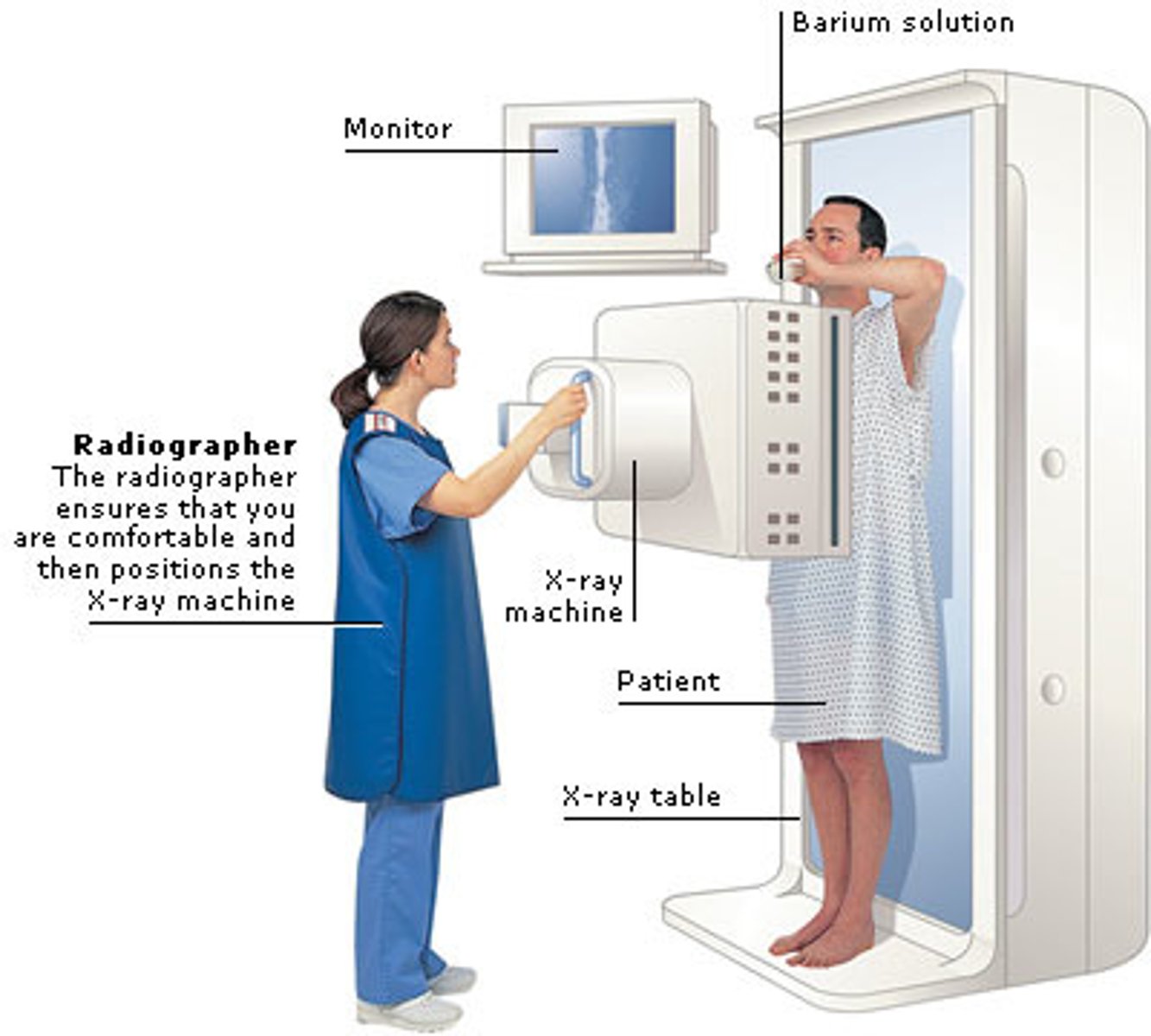 <p>barium test</p>