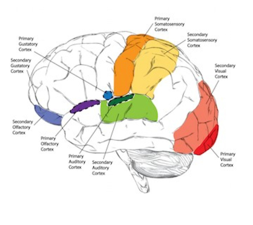 <p>What can you see here (colors)?</p>