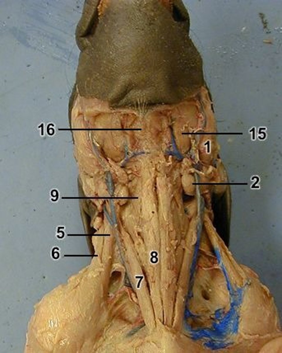 <p>7 = ?</p>