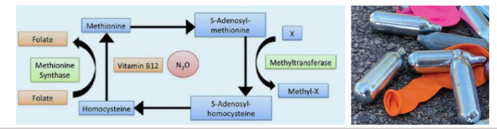 <p>Nitrous Oxide and Vitamin B12</p>