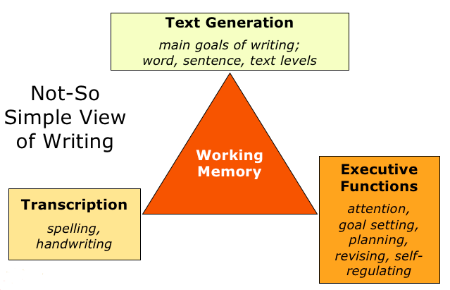 <p>working memory</p>